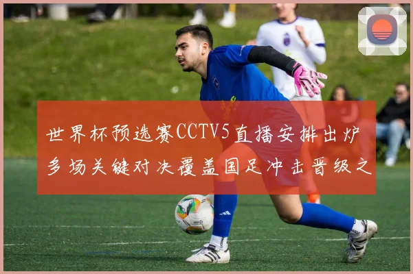 世界杯预选赛CCTV5直播安排出炉 多场关键对决覆盖国足冲击晋级之路